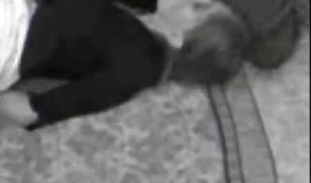 Two men japan sex video hd cum on breasts brunettes gorgeous